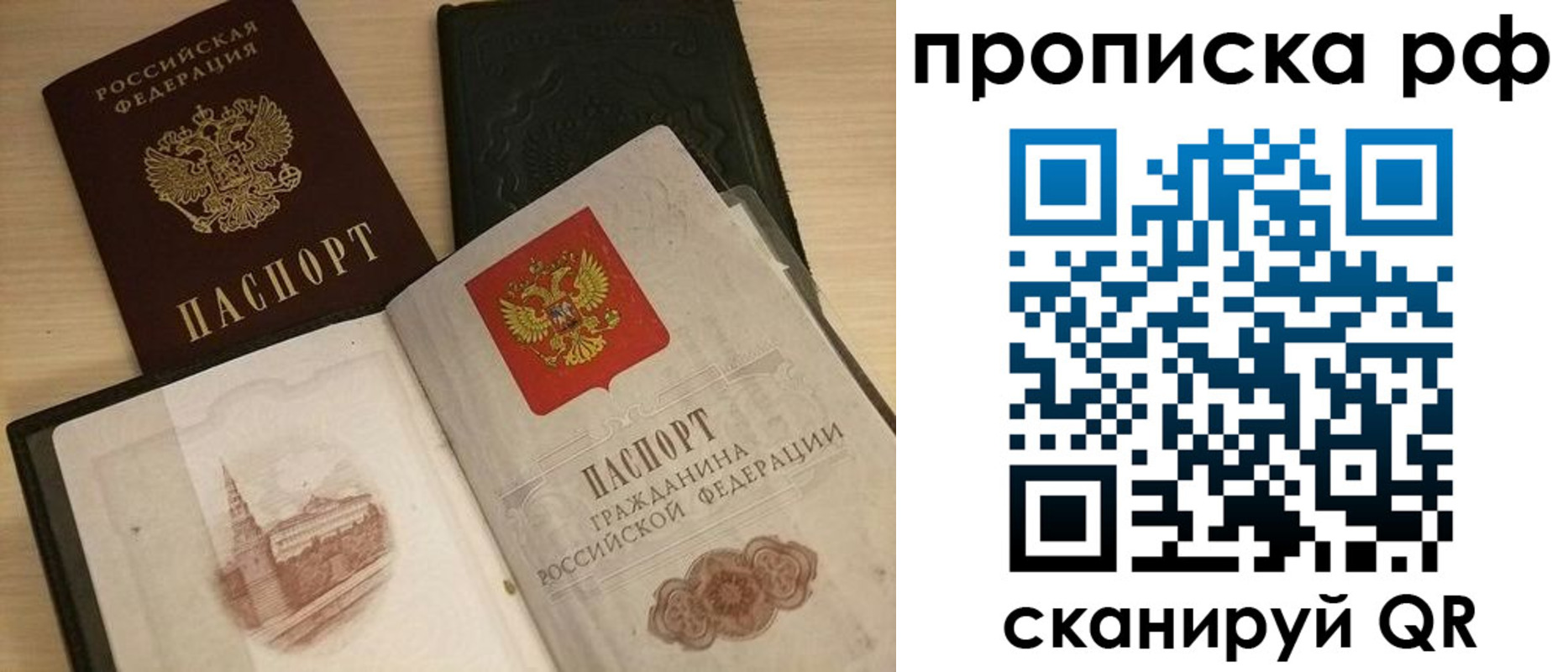 где прописаться в Сосновом Бору